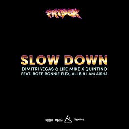 Album cover of Slow Down (feat. Boef, Ronnie Flex, Ali B & I Am Aisha)