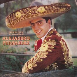 Album cover of Grandes Exitos A La Manera De Alejandro Fernandez