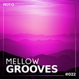 Album cover of Mellow Grooves 022