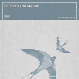 Album cover of Forever You and Me