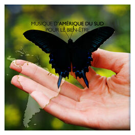 Album cover of Musique d'Amérique du Sud pour le bien-être