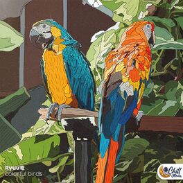 Album cover of colorful birds