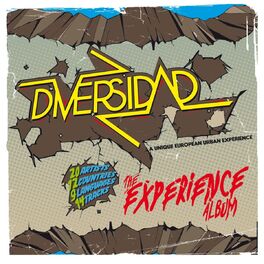 Album cover of The Experience Album