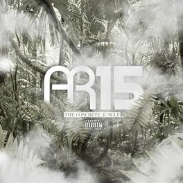 Album cover of AR15 - Concrete Jungle