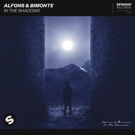 Album cover of In The Shadows