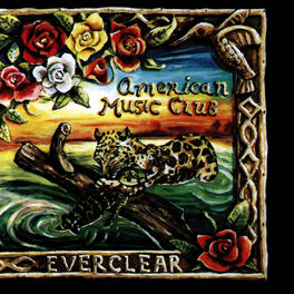 Album cover of Everclear