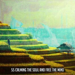 Album cover of 55 Calming The Soul And Free The Mind