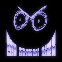 Album cover of Ech brauch Suen