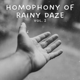 Album cover of Homophony of Rainy Daze Vol. 2
