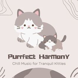 Album cover of Purrfect Harmony: Chill Music for Tranquil Kitties