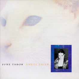 Album cover of Angel Tiger