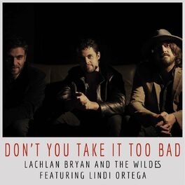 Album cover of Don't You Take It Too Bad