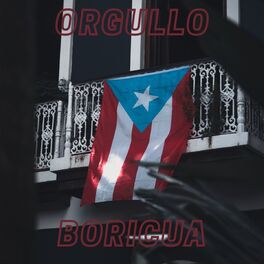 Album cover of Orgullo Boricua