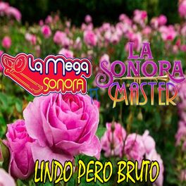 Album cover of Lindo Pero Bruto (feat. La Sonora Master)