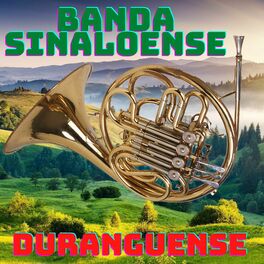 Album cover of Banda Sinaloense, Duranguense