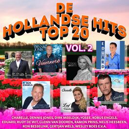 Album cover of De Hollandse Hits Top 20 vol. 2
