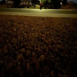 Album cover of Sleep Walking (feat. Tk)