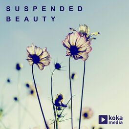 Album cover of Suspended Beauty