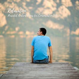Album cover of Relaxation: Peaceful Ambient Tunes for Concentration Vol. 1