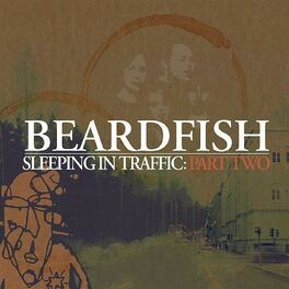 Album cover of Sleeping In Traffic: Pt. 2