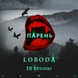 Album cover of Парень (DJ Antonio remix)