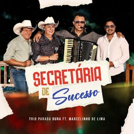 Album cover of Secretária De Sucesso (Ao Vivo)