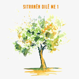 Album cover of Sitranên Dilê Me, Vol. 1