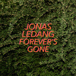 Album cover of Forever's Gone
