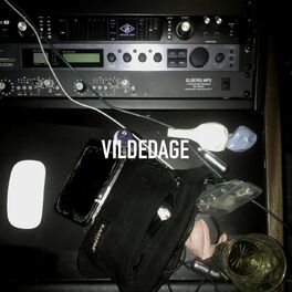 Album cover of VILDEDAGE
