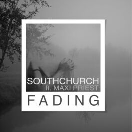 Album cover of Fading (Radio Edit)