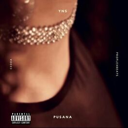 Album cover of Pusana