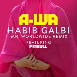 Album cover of Habib Galbi (feat. Pitbull) (Mr. Worldwide Remix)