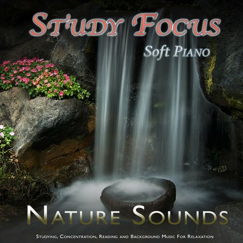 Music for Work - Study Focus: Soft Piano and Nature Sounds For Studying, Concentration, Reading and Background Music For Relaxation: lyrics and songs | Deezer