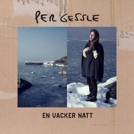 Album cover of En vacker natt