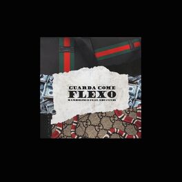 Album cover of Guarda come flexo