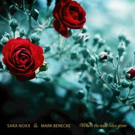 Album cover of Where the Wild Roses Grow