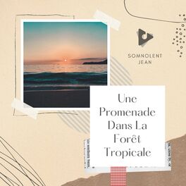 Album cover of Une Promenade Dans La Forêt Tropicale