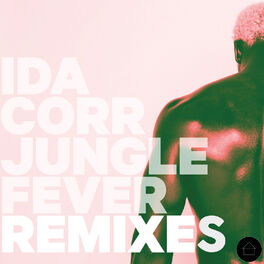 Album cover of Jungle Fever Remixes
