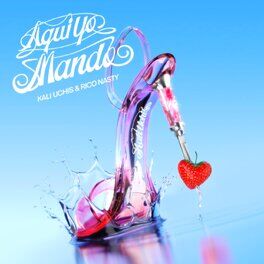 Album cover of ¡aquí yo mando!