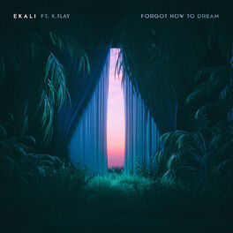 Album cover of Forgot How To Dream (feat. K.Flay)