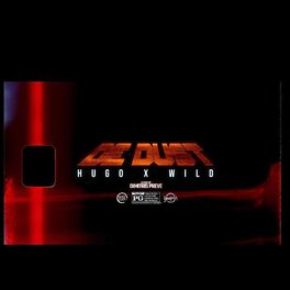 Album cover of De Dust (feat. Wild)