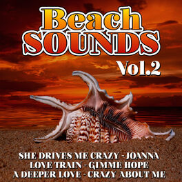 Album cover of Beach Sounds Vol. 2