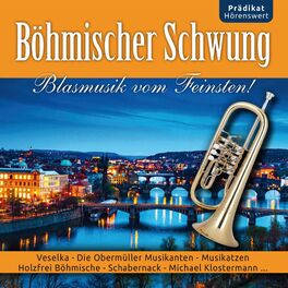 Album cover of Böhmischer Schwung