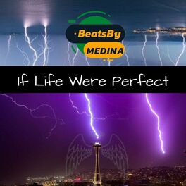 Album cover of If Life Were Perfect (feat. MEDINA)