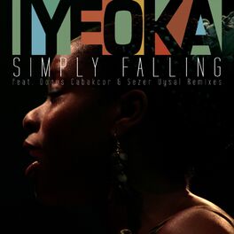 Album cover of Simply Falling Remixes