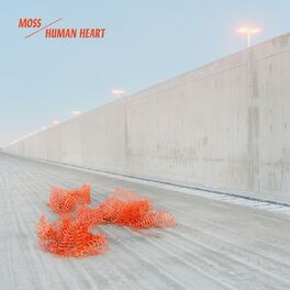 Album cover of Human Heart