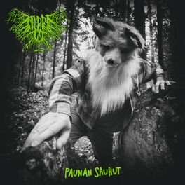 Album cover of I - Paunan sauhut