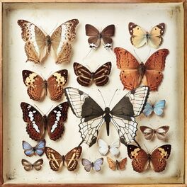 Album cover of Rarities