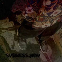 Album cover of Svdness.Wav