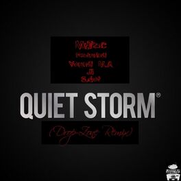 Album cover of Quiet Storm (Drop-Zone Remix)